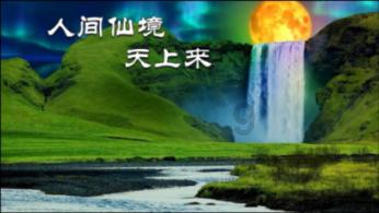 探索来安慰安慰我吧,自己也快疯掉了?,了解更多有趣的知识!